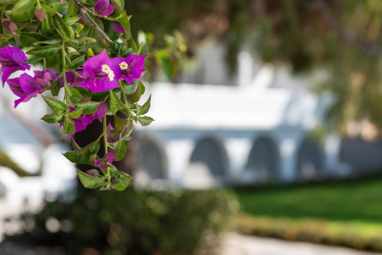 Casa Montzo Boutique Hotel Katelios Exterior foto